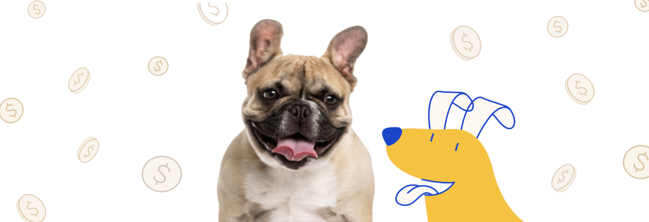 A happy French Bulldog sitting next to a yellow cartoon dog with a blue outline, set against a light background decorated with floating dollar signs.